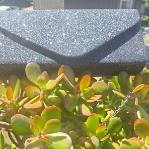 Sparkling Black Clutch